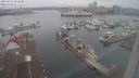 ./images/victoria/wharf/20240102/wharf20240102_103500.jpg