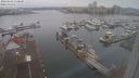 ./images/victoria/wharf/20240102/wharf20240102_110500.jpg