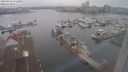 ./images/victoria/wharf/20240102/wharf20240102_111000.jpg