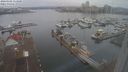 ./images/victoria/wharf/20240102/wharf20240102_113500.jpg