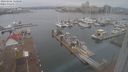 ./images/victoria/wharf/20240102/wharf20240102_120500.jpg