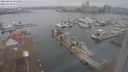 ./images/victoria/wharf/20240102/wharf20240102_121500.jpg