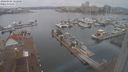 ./images/victoria/wharf/20240102/wharf20240102_122001.jpg