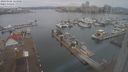 ./images/victoria/wharf/20240102/wharf20240102_123000.jpg