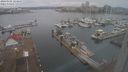 ./images/victoria/wharf/20240102/wharf20240102_123500.jpg