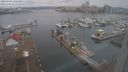 ./images/victoria/wharf/20240102/wharf20240102_124000.jpg