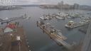 ./images/victoria/wharf/20240102/wharf20240102_124501.jpg