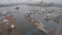 ./images/victoria/wharf/20240102/wharf20240102_130000.jpg