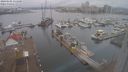 ./images/victoria/wharf/20240102/wharf20240102_131001.jpg