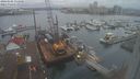 ./images/victoria/wharf/20240102/wharf20240102_133501.jpg