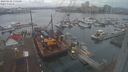 ./images/victoria/wharf/20240102/wharf20240102_135001.jpg