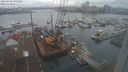 ./images/victoria/wharf/20240102/wharf20240102_135500.jpg