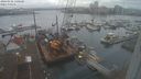 ./images/victoria/wharf/20240102/wharf20240102_140001.jpg