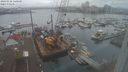 ./images/victoria/wharf/20240102/wharf20240102_140501.jpg