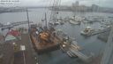 ./images/victoria/wharf/20240102/wharf20240102_141000.jpg