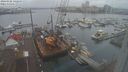 ./images/victoria/wharf/20240102/wharf20240102_142500.jpg