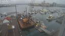 ./images/victoria/wharf/20240102/wharf20240102_143500.jpg