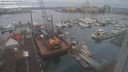 ./images/victoria/wharf/20240103/wharf20240103_101501.jpg
