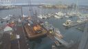 ./images/victoria/wharf/20240103/wharf20240103_102501.jpg