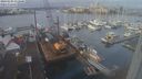 ./images/victoria/wharf/20240103/wharf20240103_112500.jpg