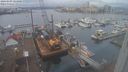 ./images/victoria/wharf/20240103/wharf20240103_124000.jpg