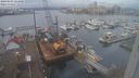 ./images/victoria/wharf/20240103/wharf20240103_124500.jpg