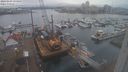 ./images/victoria/wharf/20240103/wharf20240103_134500.jpg