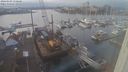 ./images/victoria/wharf/20240103/wharf20240103_150000.jpg