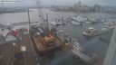 ./images/victoria/wharf/20240103/wharf20240103_152500.jpg