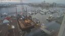 ./images/victoria/wharf/20240103/wharf20240103_153500.jpg