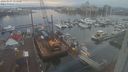 ./images/victoria/wharf/20240103/wharf20240103_154500.jpg