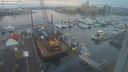 ./images/victoria/wharf/20240103/wharf20240103_155500.jpg