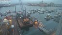 ./images/victoria/wharf/20240104/wharf20240104_080500.jpg