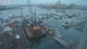 ./images/victoria/wharf/20240104/wharf20240104_083500.jpg