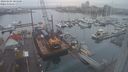 ./images/victoria/wharf/20240104/wharf20240104_085500.jpg