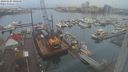 ./images/victoria/wharf/20240104/wharf20240104_090500.jpg