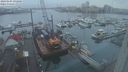 ./images/victoria/wharf/20240104/wharf20240104_092001.jpg