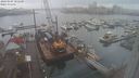 ./images/victoria/wharf/20240104/wharf20240104_101501.jpg