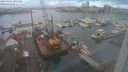 ./images/victoria/wharf/20240104/wharf20240104_104500.jpg