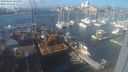 ./images/victoria/wharf/20240104/wharf20240104_125000.jpg