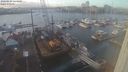 ./images/victoria/wharf/20240104/wharf20240104_143001.jpg