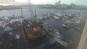 ./images/victoria/wharf/20240104/wharf20240104_143500.jpg