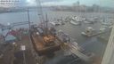 ./images/victoria/wharf/20240104/wharf20240104_153000.jpg