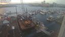 ./images/victoria/wharf/20240104/wharf20240104_155500.jpg