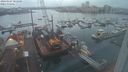 ./images/victoria/wharf/20240105/wharf20240105_083000.jpg