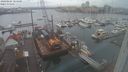 ./images/victoria/wharf/20240105/wharf20240105_084501.jpg