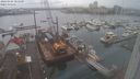 ./images/victoria/wharf/20240105/wharf20240105_085500.jpg