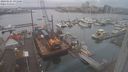 ./images/victoria/wharf/20240105/wharf20240105_091500.jpg