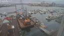./images/victoria/wharf/20240105/wharf20240105_093001.jpg