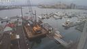./images/victoria/wharf/20240105/wharf20240105_101501.jpg